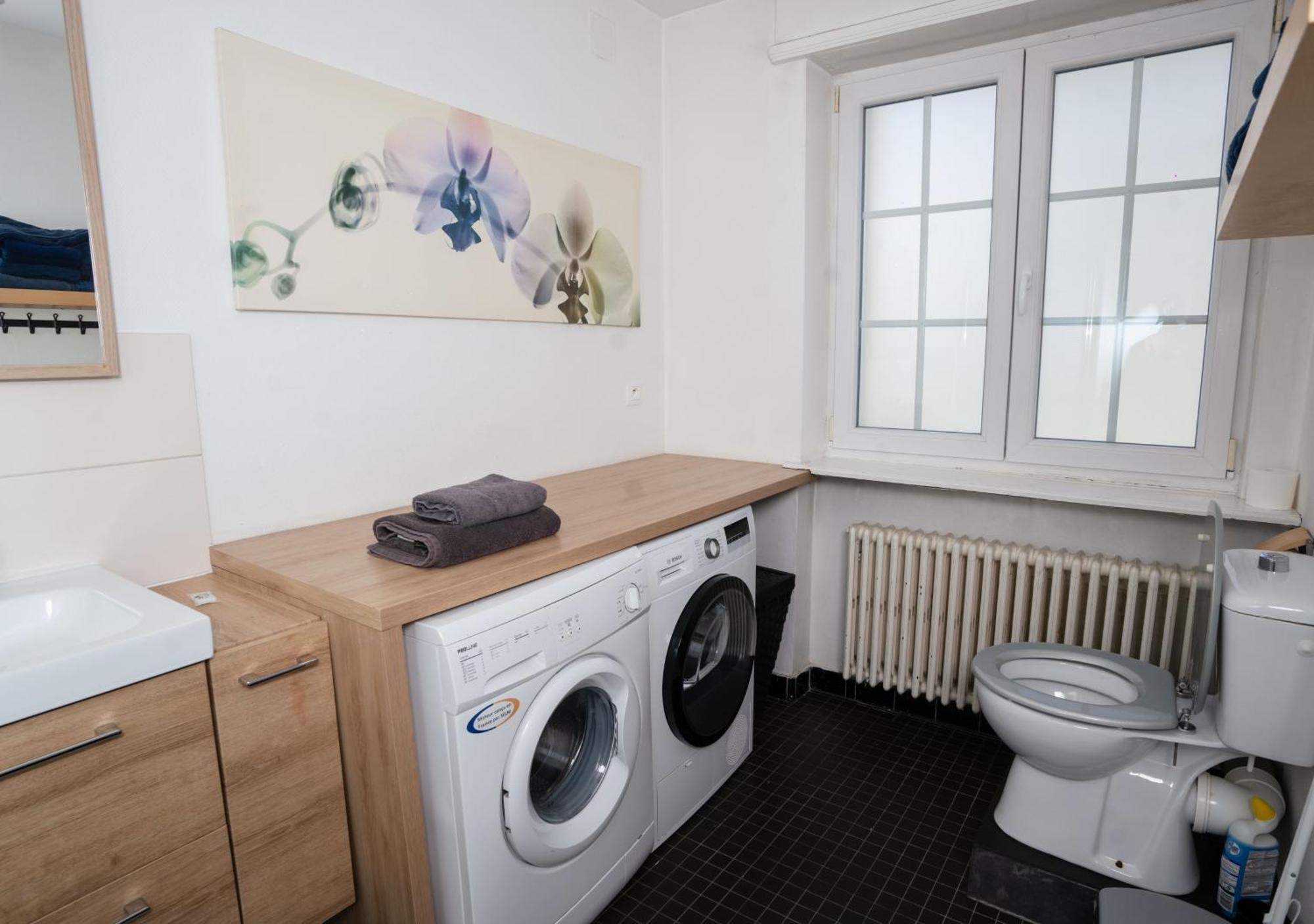 Charmant Appartement Avec Terrasse Dans Villa Strasbourg Luaran gambar