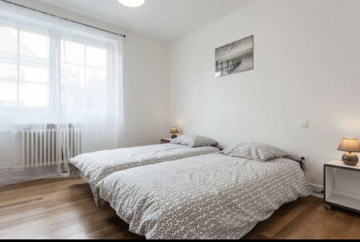 Charmant Appartement Avec Terrasse Dans Villa Strasbourg Luaran gambar